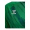 Hummel Match Triumph Trikot Grün F6439 - gruen