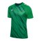 Hummel Match Triumph Trikot Grün F6439 - gruen