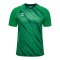 Hummel Match Triumph Trikot Grün F6439 - gruen
