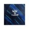 Hummel Match Triumph Trikot Kids Blau F7783 - blau