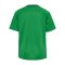 Hummel Match Triumph Trikot Kids Grün F6439 - gruen