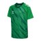 Hummel Match Triumph Trikot Kids Grün F6439 - gruen