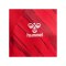 Hummel Match Triumph Trikot Kids Rot F3826 - rot