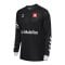 Hummel Torwarttrikot Schwarz F2001 - schwarz