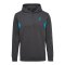 Hummel Staltic Cotton Hoody Grau F1025 - grau