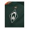 hummel SV Werder Bremen Trikot Away 2026/2027 Grün F6842 - gruen