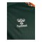hummel SV Werder Bremen Trikot Away 2026/2027 Grün F6842 - gruen