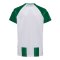 hummel SV Werder Bremen Trikot Home 2026/2027 Grün F6839 - gruen