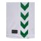 hummel SV Werder Bremen Trikot Home 2026/2027 Grün F6839 - gruen