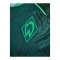 hummel SV Werder Bremen Pre Game Trikot 2026/2027 Grün F6228 - gruen