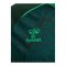 hummel SV Werder Bremen Pre Game Trikot 2026/2027 Grün F6228 - gruen