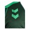 hummel SV Werder Bremen Pre Game Trikot 2026/2027 Grün F6228 - gruen