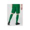JAKO Allround Short Kids Grün F200 - gruen