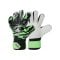 JAKO Animal Basic Junior RC Torwarthandschuhe Grün F211 - gruen