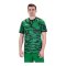 JAKO Animal Trikot Grün Schwarz F201 - gruen