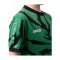 JAKO Animal Trikot Kids Grün Schwarz F201 - gruen