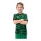 JAKO Animal Trikot Kids Grün Schwarz F201 - gruen