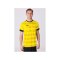 JAKO Celtic Melange KA Trikot Gelb F300 - gelb