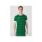 JAKO Celtic Melange KA Trikot Grün F200 - gruen