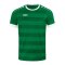 JAKO Celtic Melange KA Trikot Grün F200 - gruen