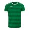 JAKO Celtic Melange KA Trikot Kids Grün F200 - gruen