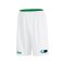 JAKO Change 2.0 Wendeshort Basketball Grün F06 - Gruen