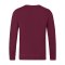 JAKO Doubletex Sweatshirt Braun F130 - braun
