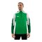 JAKO Dynamic Kapuzenjacke Grün F204 - gruen