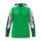 JAKO Dynamic Kapuzenjacke Grün F204 - gruen