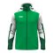 JAKO Dynamic Kapuzenjacke Grün F204 - gruen