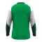 JAKO Dynamic Sweatshirt Grün F204 - gruen