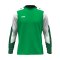 JAKO Dynamic Sweatshirt Grün F204 - gruen