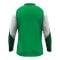 JAKO Dynamic Sweatshirt Kids Grün F204 - gruen