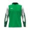 JAKO Dynamic Sweatshirt Kids Grün F204 - gruen