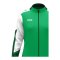 JAKO Dynamic Trainingsanzug Damen Grün F204 - gruen