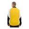 JAKO Dynamic Trainingsanzug Gelb F305 - gelb