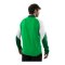 JAKO Dynamic Trainingsanzug Grün F204 - gruen