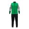 JAKO Dynamic Trainingsanzug Grün F204 - gruen