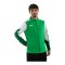 JAKO Dynamic Trainingsjacke Grün F204 - gruen