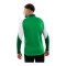 JAKO Dynamic Ziptop Sweatshirt Grün F204 - gruen
