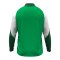 JAKO Dynamic Ziptop Sweatshirt Kids Grün F204 - gruen