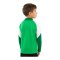 JAKO Dynamic Ziptop Sweatshirt Kids Grün F204 - gruen