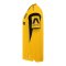 JAKO Dynamo Dresden Trikot Home 2026/2027 Gelb F307 - gelb
