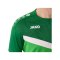 JAKO Iconic T-Shirt Grün F222 - gruen