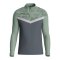 JAKO Iconic HalfZip Sweatshirt Kids Grau F852 - grau
