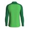JAKO Iconic HalfZip Sweatshirt Kids Grün F222 - gruen