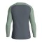 JAKO Iconic Sweatshirt Grau F852 - grau