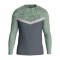 JAKO Iconic Sweatshirt Grau F852 - grau