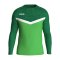 JAKO Iconic Sweatshirt Grün F222 - gruen