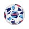 JAKO Iconic Trainingsball Weiß F657 - weiss